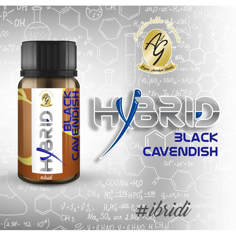 Hybrid - Black Cavendish