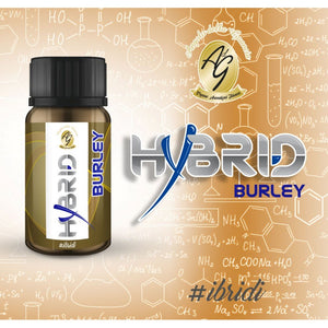 Hybrid - Burley